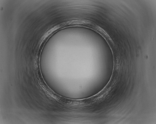 X0000086070786200704091234