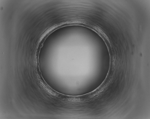 X0000086070789200704091234