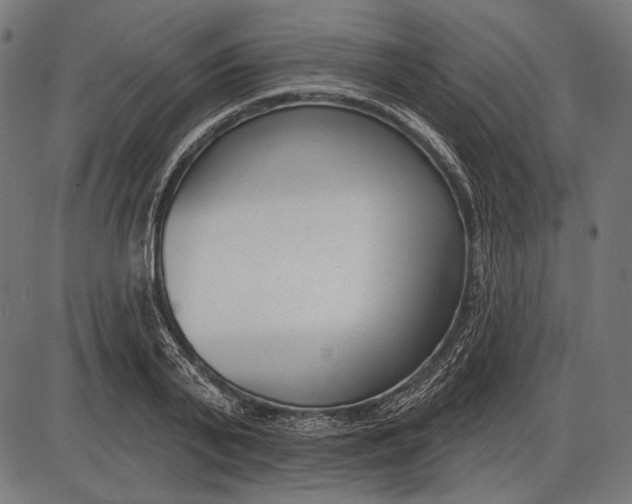 X0000086070791200704091234