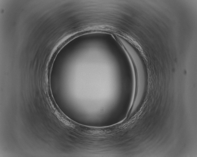 X0000086070792200704091234
