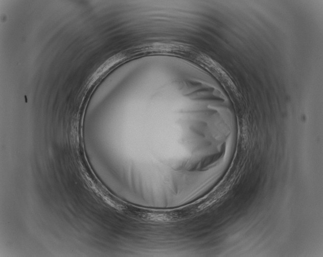 X0000086070794200704091234