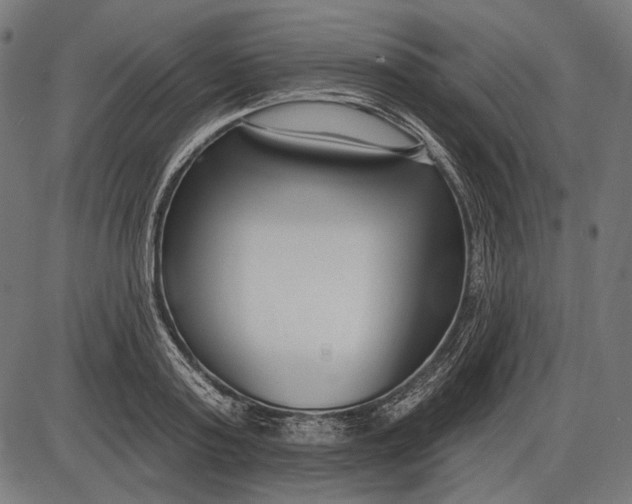 X0000086070795200704091234
