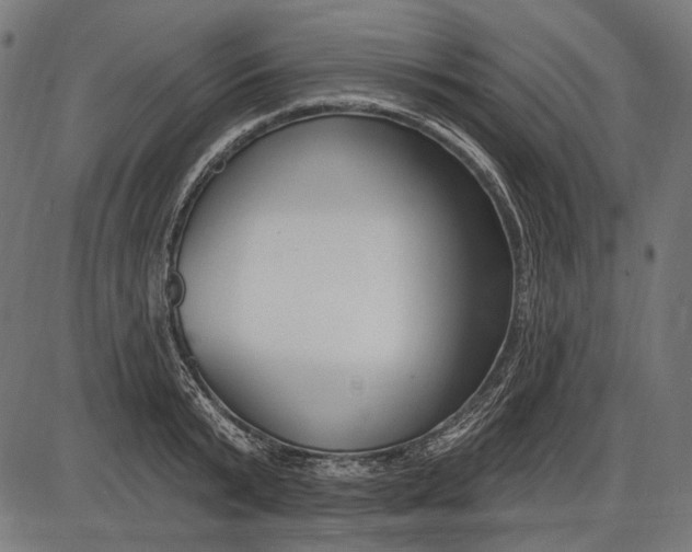 X0000086070799200704091234