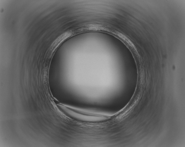 X0000086070801200704091234
