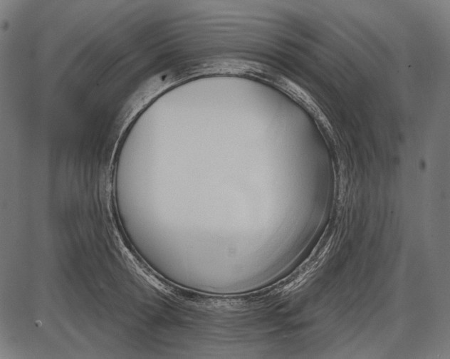 X0000086070802200704091234