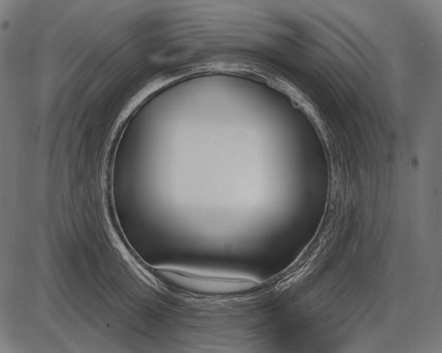 X0000086070803200704091234