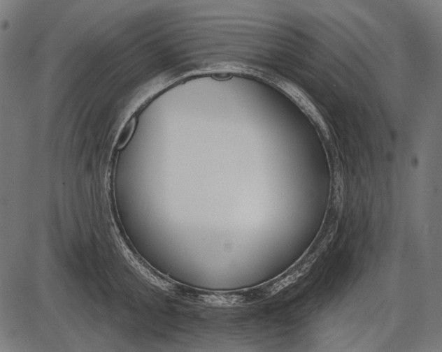 X0000086070805200704091234