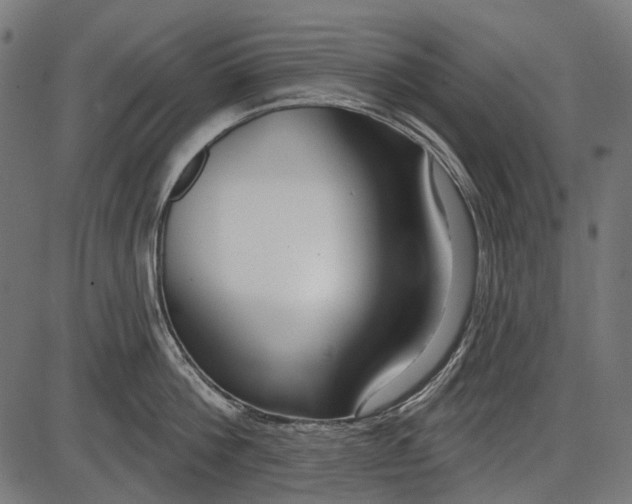 X0000086070812200704091234