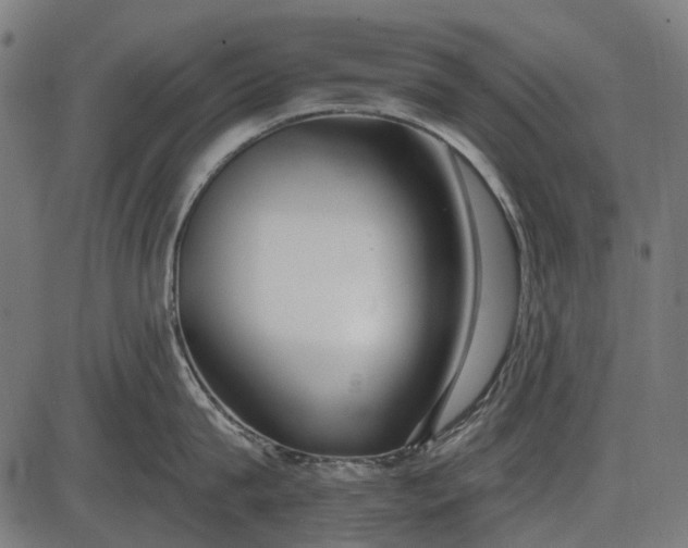 X0000086070815200704091234