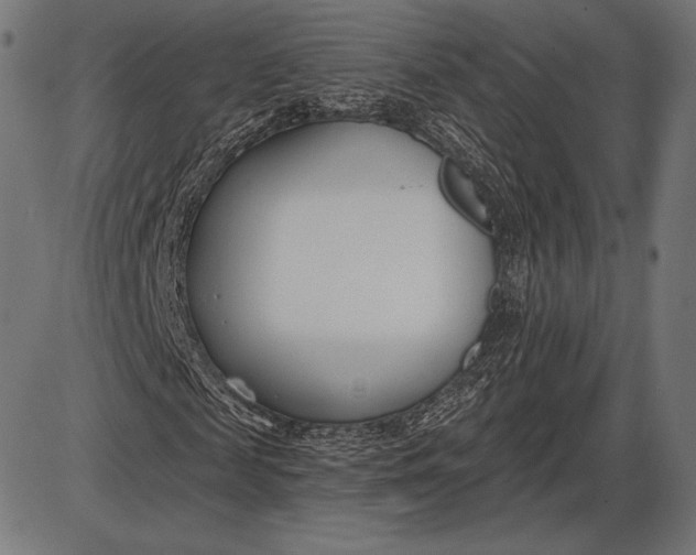 X0000086070817200704091233