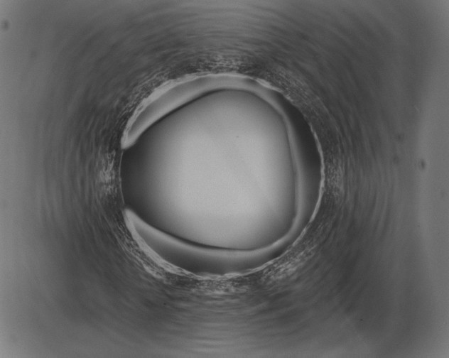 X0000086070818200704091233