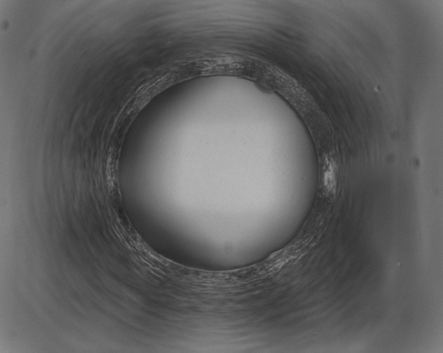 X0000086070819200704091233