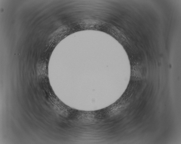 X0000086070820200704091233