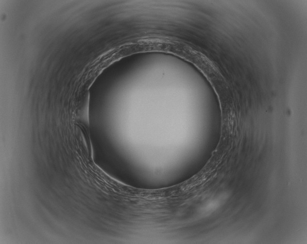 X0000086070821200704091233