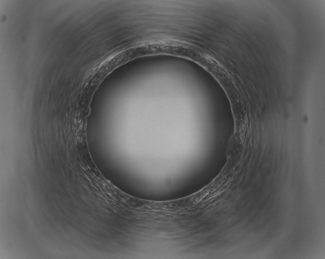X0000086070822200704091233