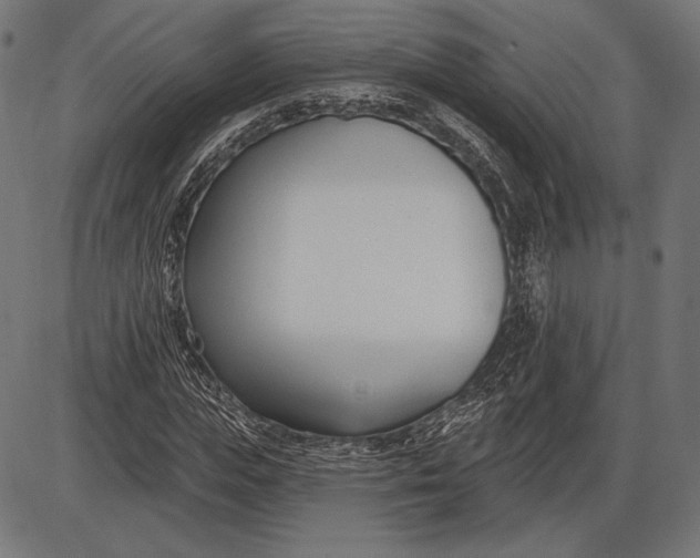 X0000086070823200704091233