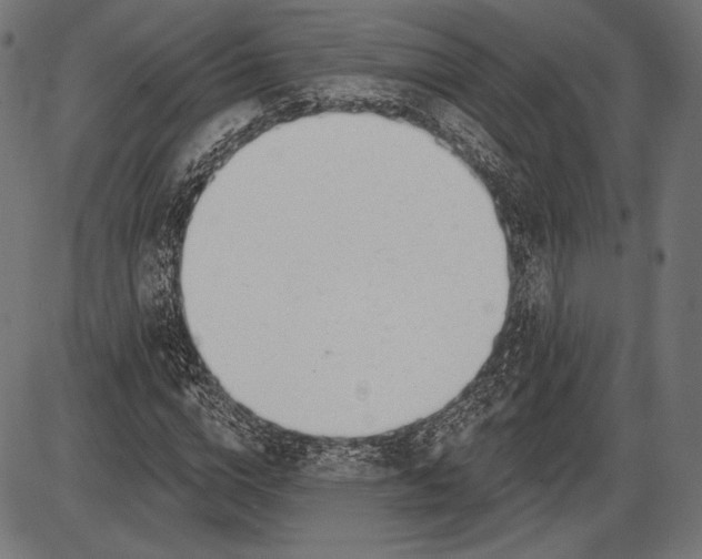 X0000086070824200704091233