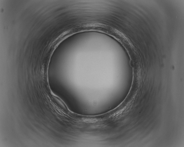 X0000086070825200704091233