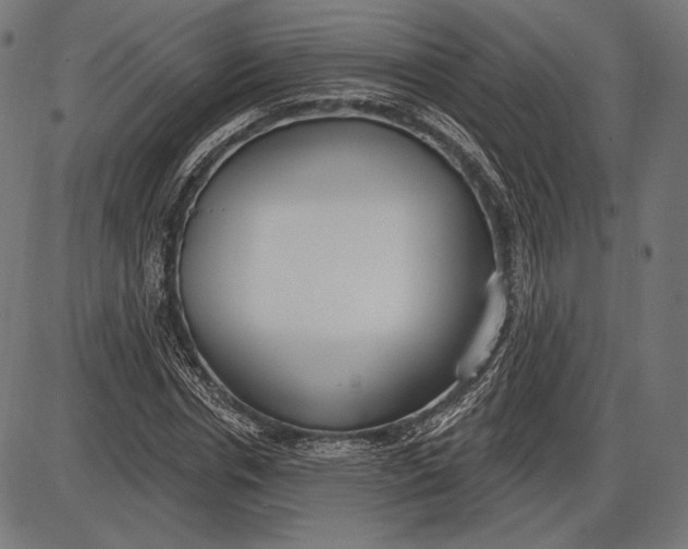 X0000086070826200704091233