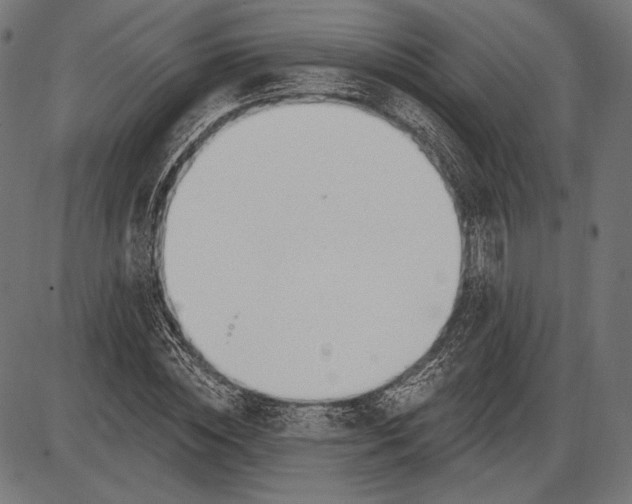 X0000086070828200704091233