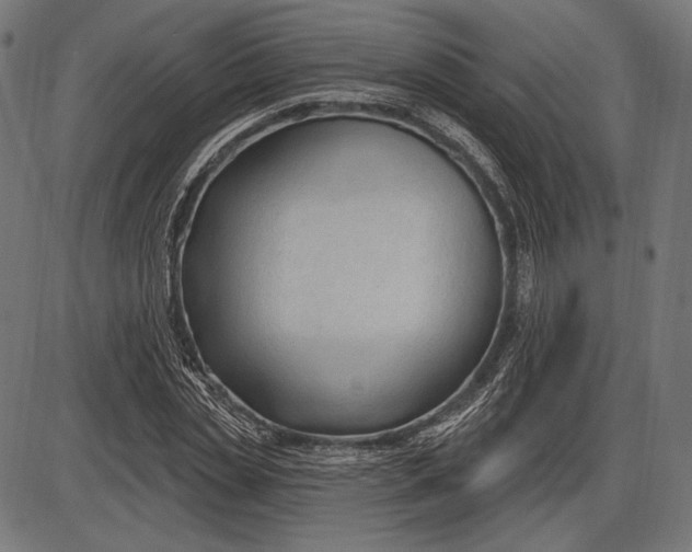 X0000086070829200704091233