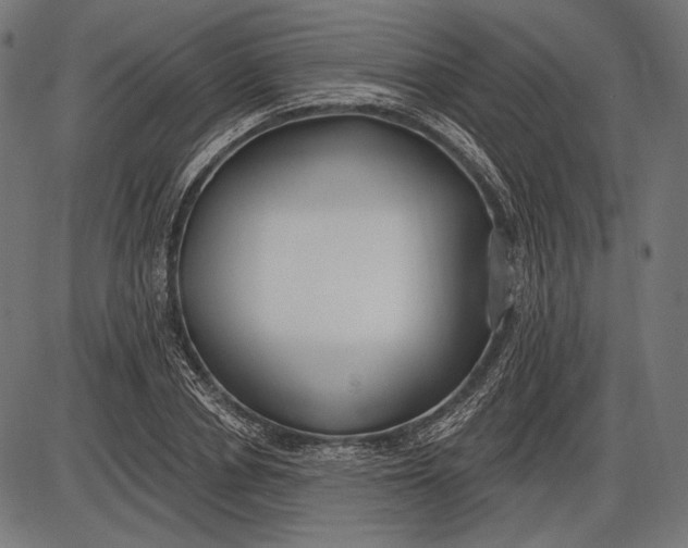 X0000086070834200704091233