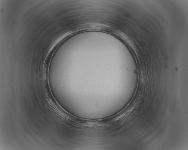 X0000086070835200704091233