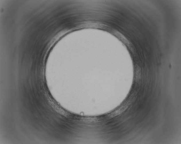 X0000086070836200704091233