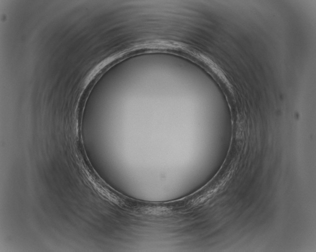 X0000086070837200704091233