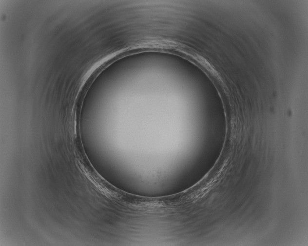 X0000086070838200704091233
