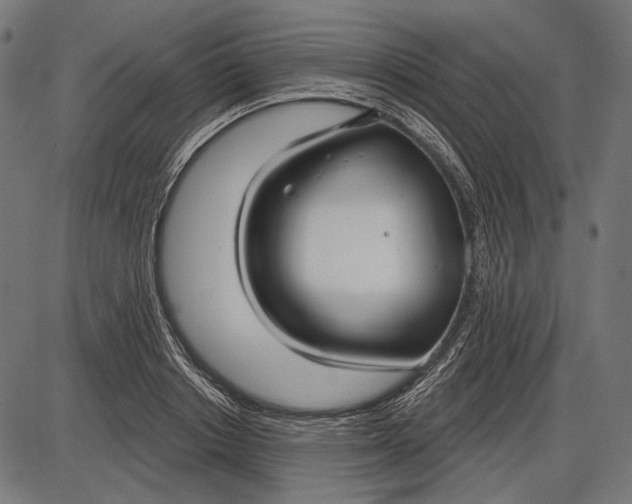 X0000086070842200704091233