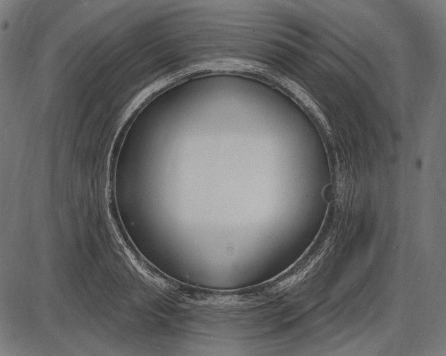 X0000086070845200704091233