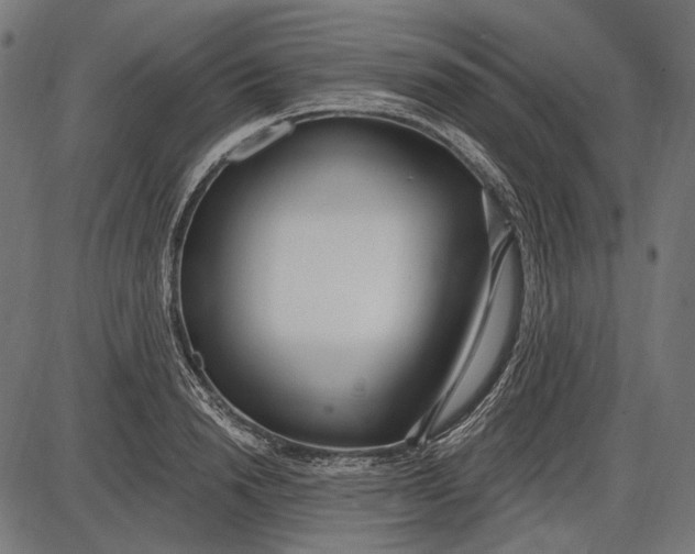X0000086070846200704091233