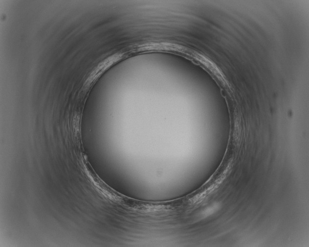 X0000086070849200704091233