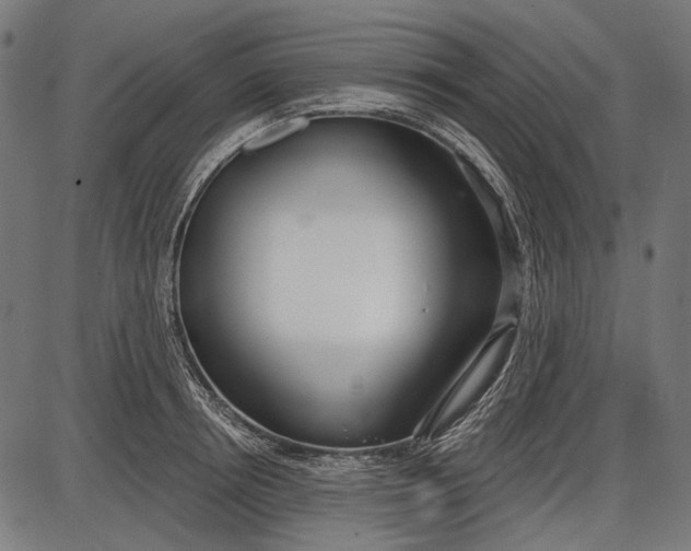 X0000086070850200704091233