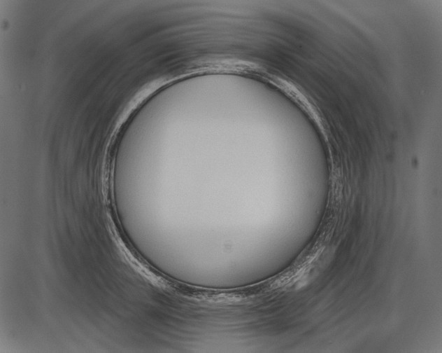 X0000086070851200704091233