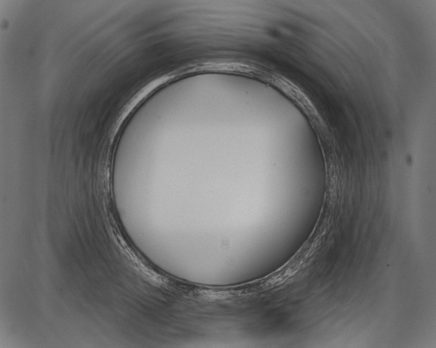 X0000086070852200704091233