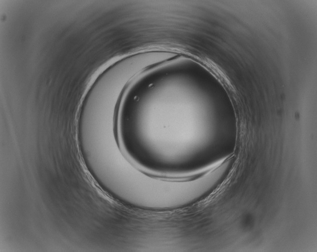 X0000086070854200704091233