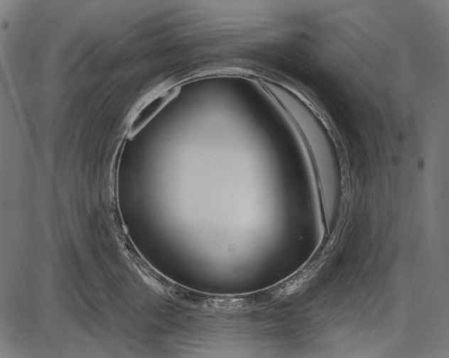 X0000086070858200704091233