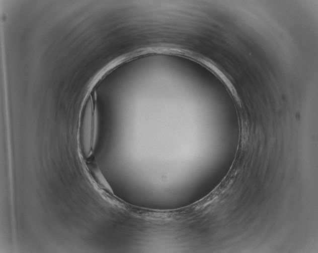 X0000086070861200704091233
