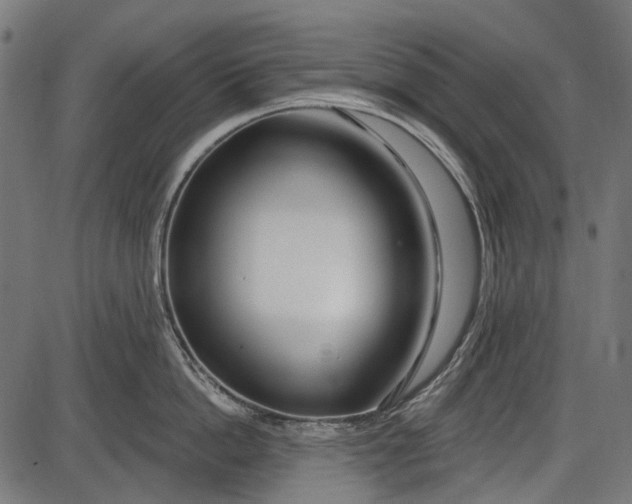 X0000086070862200704091233