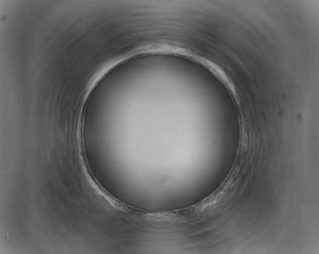 X0000086070863200704091233