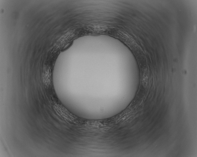 X0000086070866200704091233