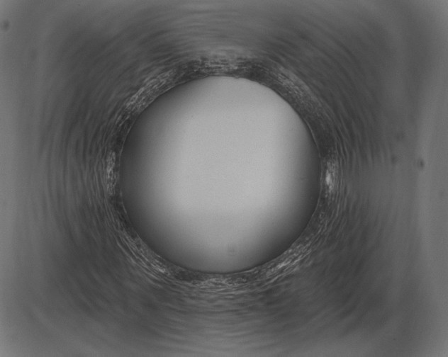 X0000086070867200704091233
