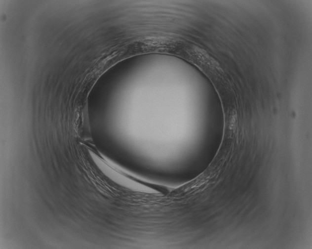 X0000086070868200704091233