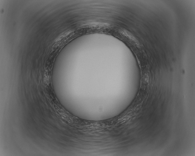 X0000086070869200704091233