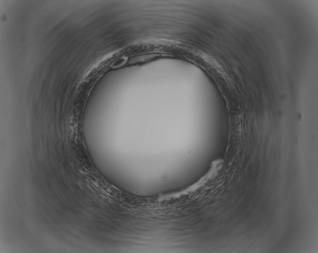 X0000086070872200704091233