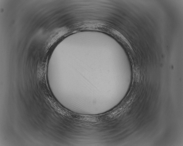X0000086070874200704091233