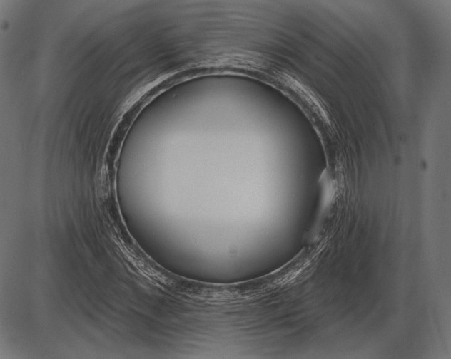 X0000086070876200704091232