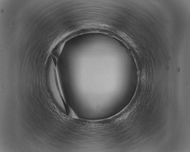 X0000086070877200704091232